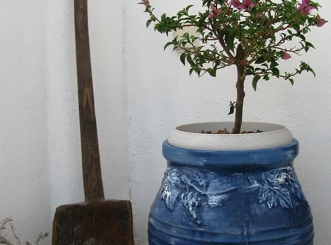 Christina Hotel, Adults Only, Heated Salt Water Pool 2* Zambujeira do Mar